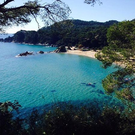 Appartements Les Pesquiers Hyeres Plage エクステリア 写真