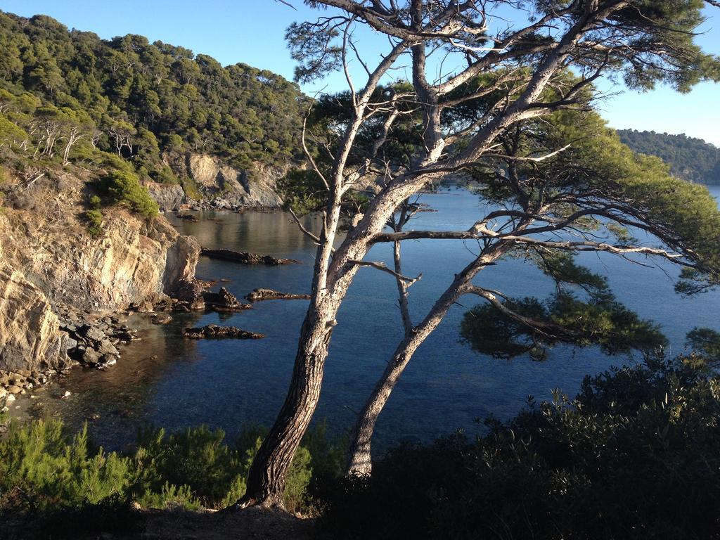 Appartements Les Pesquiers Hyeres Plage エクステリア 写真