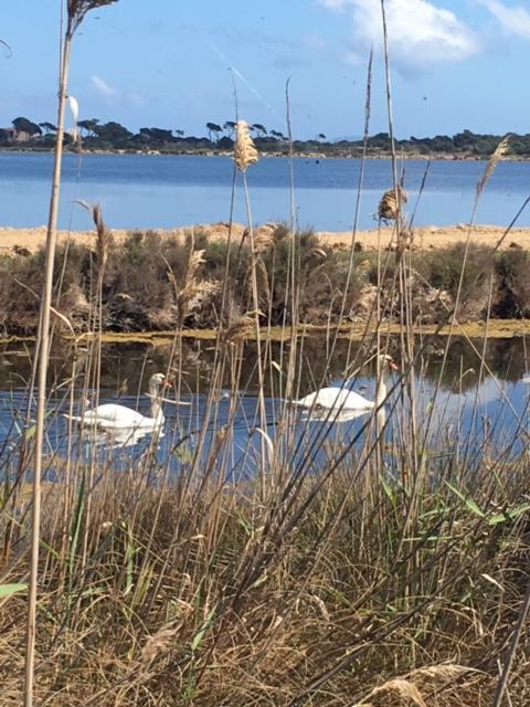 Appartements Les Pesquiers Hyeres Plage エクステリア 写真